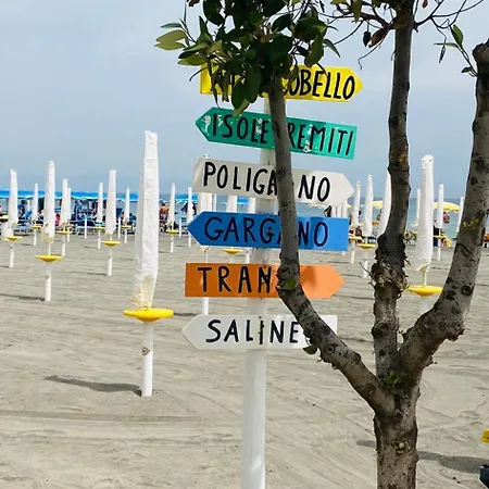 Aparthotel Bandiera Gialla *