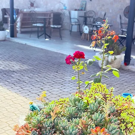 Bandiera Gialla Aparthotel